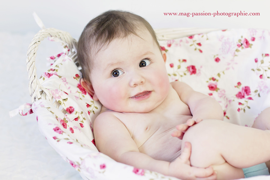 IMG_3542 as Smart Object-1